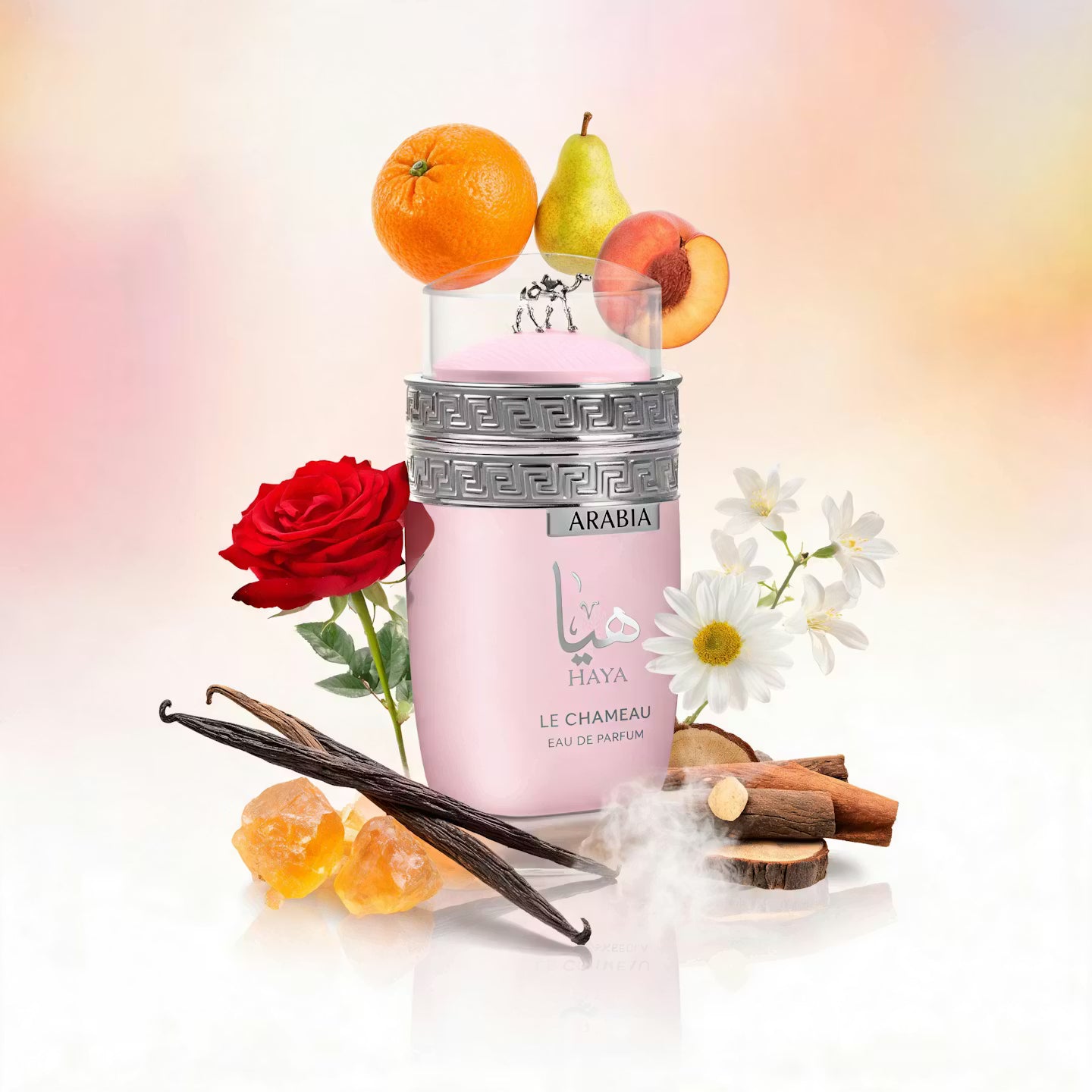 ARABIA HAYA EDP